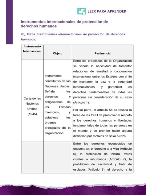 Instrumentos Internacionales De Protección De Derechos Humanos Pdf