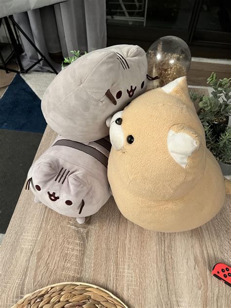 Big Pusheen Went On Top Of Log Pusheen So That He Could Hug The Big