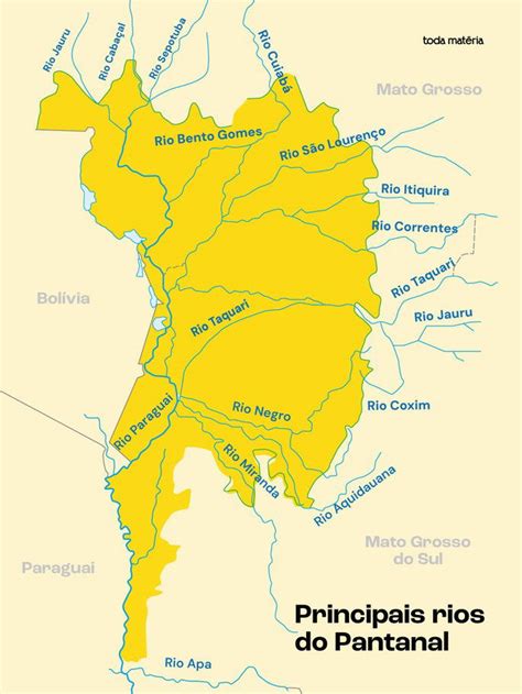 Em Que Estado Fica O Pantanal - Pantanal (bioma brasileiro): o que é, características e localização ...