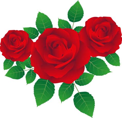 red rose drawing illustration by vector design 6046701 Vector Art at ...