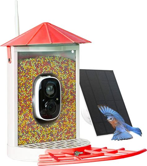 Birdkiss Smart Bird Feeder With Camera Metal Squirrel Proof Bird