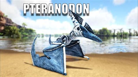 Ark Pteranodon Wszystko O Pteranodon 5 Ark Survival Evolved