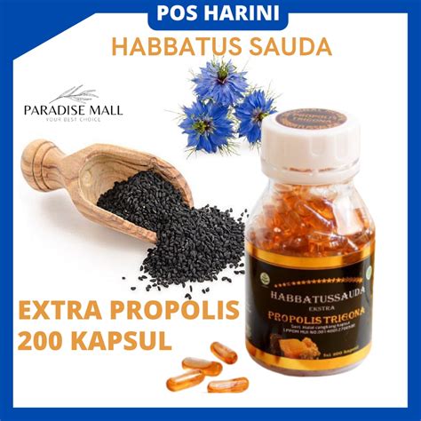 Extra Propolis Trigona Habbatussauda Habbatus Sauda Habatussauda Sauda