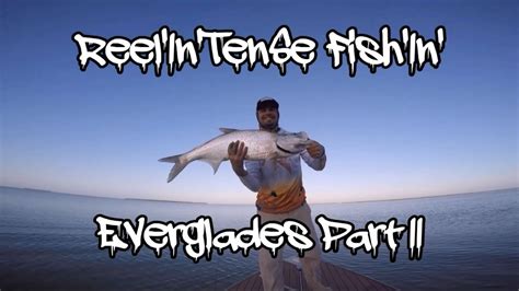 Reelintense Fishin Everglades Part 2 Tarpon And Snook Youtube