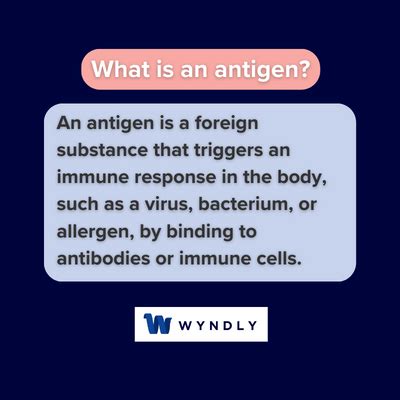 Antigen Definition: What Is An Antigen? (2024) & Wyndly