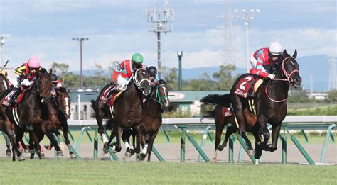 【菊花賞】出走馬の調教後の馬体重 競馬ニュースなら競馬のおはなし