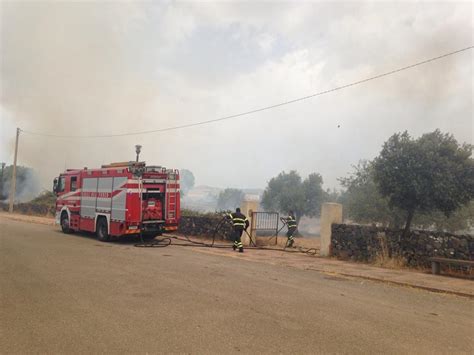 Il Fuoco Acceso Per Pulire Un Terreno Si Propaga A Un Uliveto Vasto