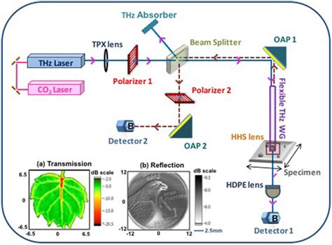 Terahertz Endoscopic Imaging For Cancer Diagnosis