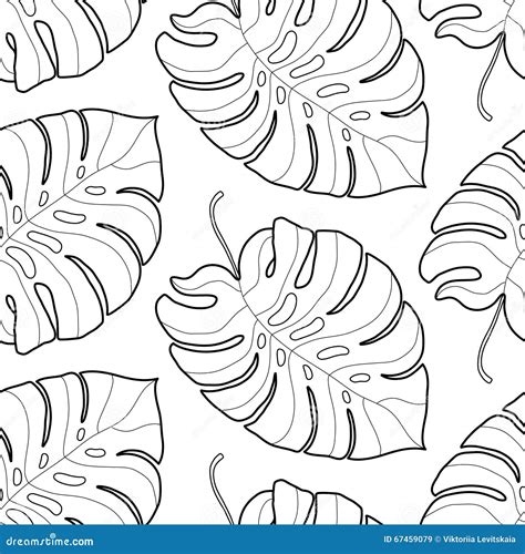 Black And White Graphic Tropical Leaves Seamless Pattern Stock Vector