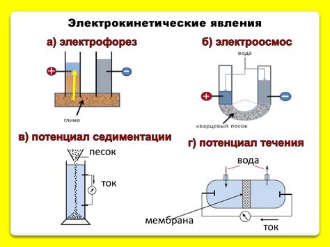Коллоидные растворы - презентация онлайн