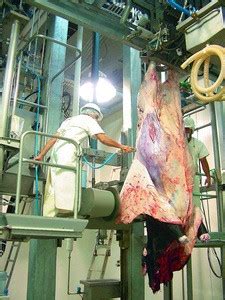 Buy Complete Cattle Slaughterhouse Equipments Hour Halal Meat