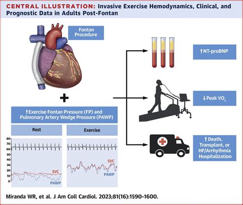 JACC Journals On Twitter Exercise Fontan Pressures And PAWP Were