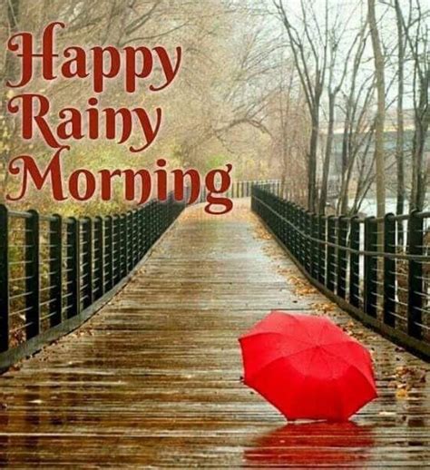 Full 4K Collection Of Over 999 Amazing Rainy Good Morning Images