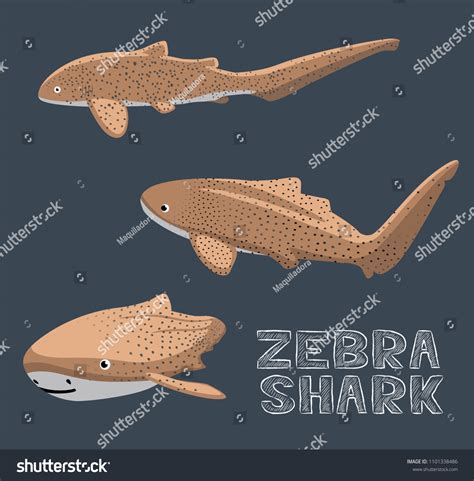 Zebra Shark Cartoon Vector Illustration Stock Vector (Royalty Free ...