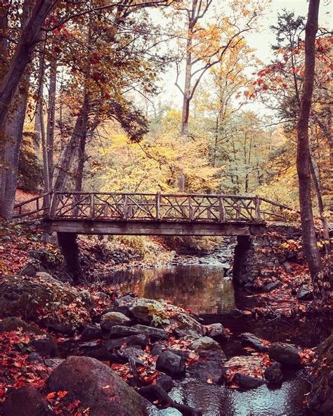 Sleepy Hollow Bridge Photograph by Natalia Baquero - Fine Art America