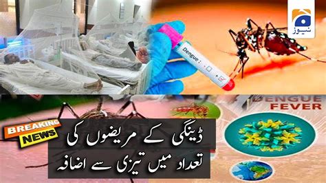 Pakistan Rising Dangi Cases 15th Oct 2021 Dengue Fever Dengue