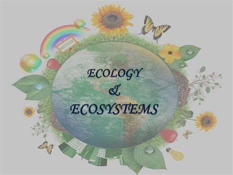 Ecology and ecosystem