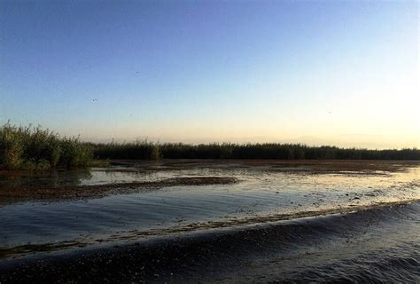 Anzali Lagoon Visit Iran