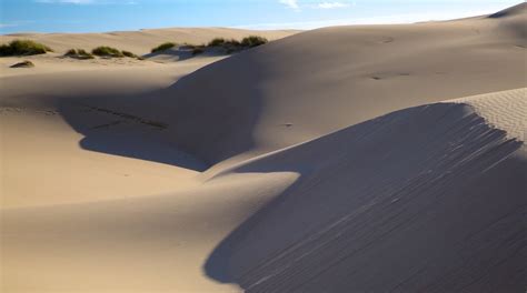 Oregon Dunes National Recreation Area in Oregon - Tours and Activities ...