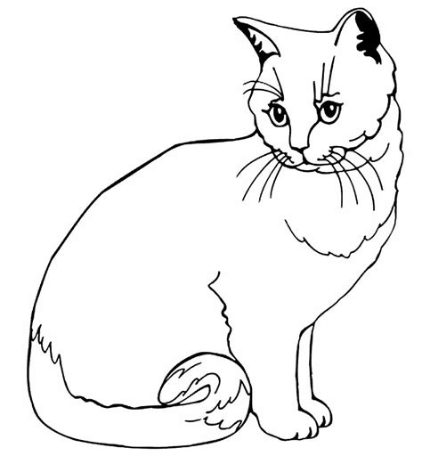 Desenhos De Gatinhos Para Colorir Dicas Pr Ticas