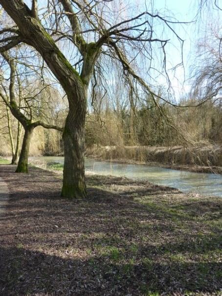 The River System Farnham Town Council