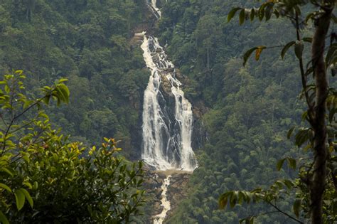 Meenmutty waterfalls (Wayanad)- The tallest falls in Wayanad district ...