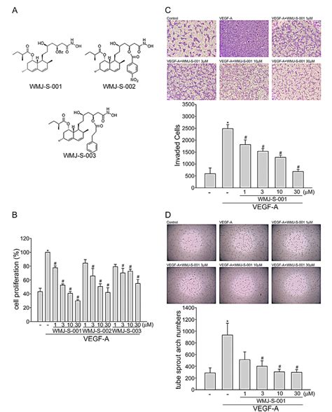 Wmj S Inhibited Vegf A Induced Cell Proliferation Invasion And