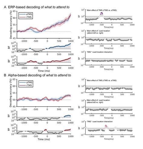 Tms Effects On Decoding Accuracy Of What To Attend To A Left