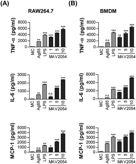 Production of TNF α IL 6 and MCP 1 from RAW264 7 cells or BMDMs