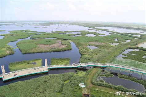 大庆龙凤湿地自然保护区，位于位于黑龙江省大庆市龙凤区境内东南龙凤湿地自然保护区鸟类新浪新闻