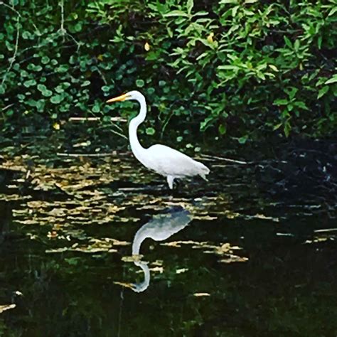 Key West Botanical Garden a Quiet spot from the Crowds - Fun in Key West