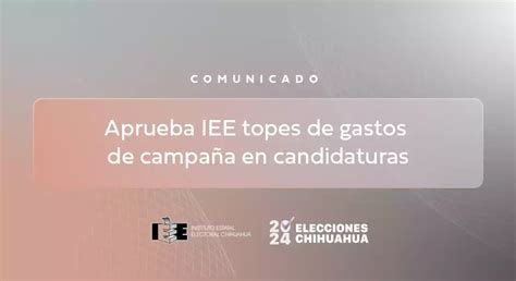 Aprueba IEE topes de gastos de campaña en candidaturas