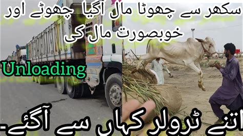 Northern Bypass Mandi Trucks Update Unloading Chota Mal Ki Unloading