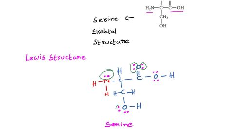 SOLVED: The skeletal structure of serine shown below. Complete the ...