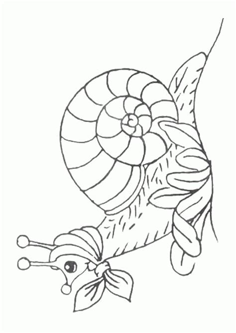 Coloriage Escargot Sur Hugolescargot Dedans Coloriage Hugo Lescargot