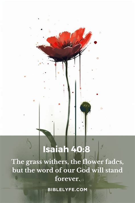 Bible Verses About Flowers — Bible Lyfe