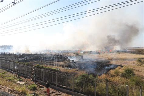 Diario Hoy Reportan Incendio De Pastizal En Zona Del Aeropuerto