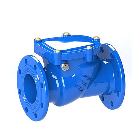 Din Pn Dn Ductile Iron Flanged Cast Iron Swing Check Valve For