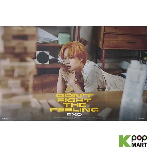 Poster Exo Special Album Dont Fight The Feeling Kai N