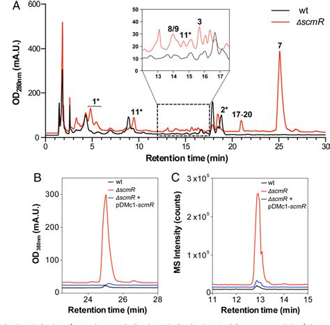 Burkholderia thailandensis | Semantic Scholar 
