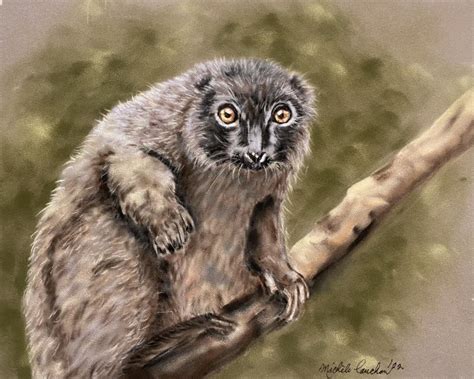 Golden Bamboo Lemur | Artists for Conservation