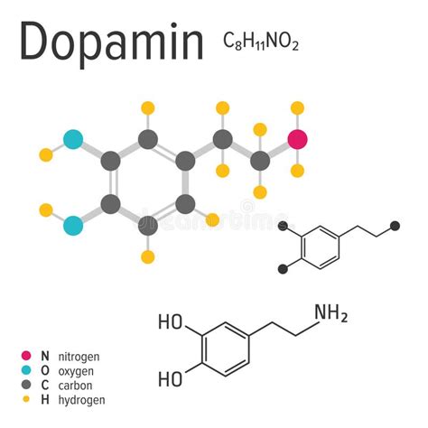 Chemical Formula Of The Vector Dopamin Molecule Stock Vector