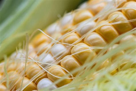 Manfaat Rambut Jagung Ternyata Mengejutkan Bikin Tekanan Darah