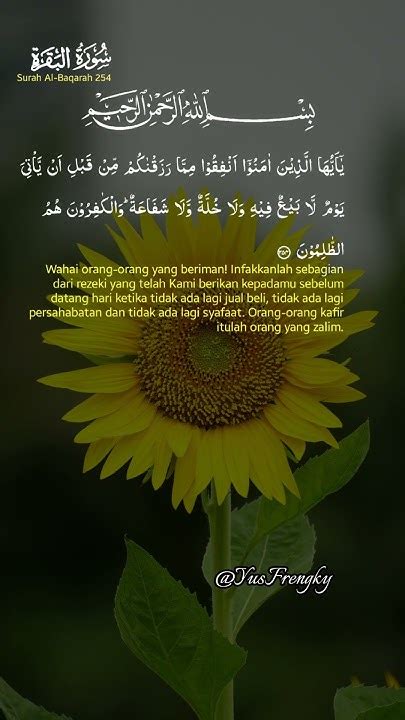 Surah Al Baqarah 1 286 Part 127 Ayat 254 Bersambung Youtube