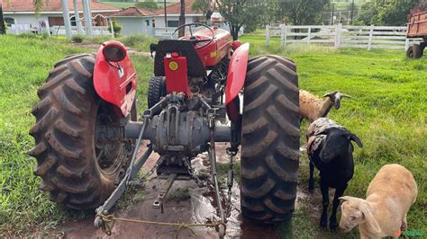 Trator Massey Ferguson 65 X 4X2 Ano 73 em Altinópolis SP à 663384