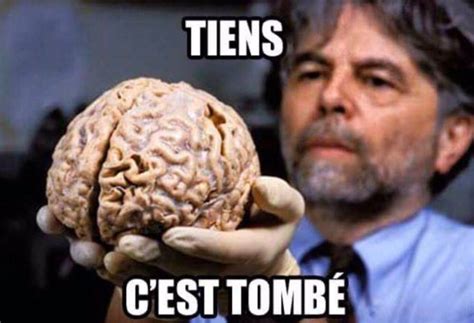 Cerveau tombé Postimages