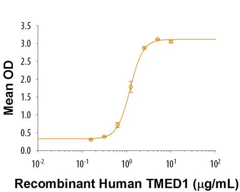 Recombinant Human TMED1 Fc Chimera Protein CF 2243 TM 050 R D Systems