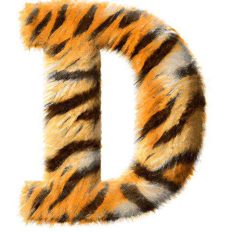 Tiger Alphabet D Graphic Creative Fabrica