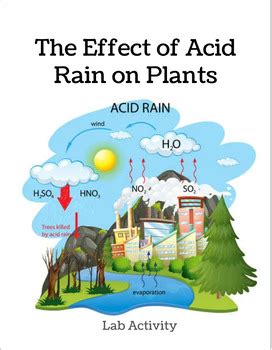 Effects of Acid Rain on Plants by Teach Her Joy | TPT