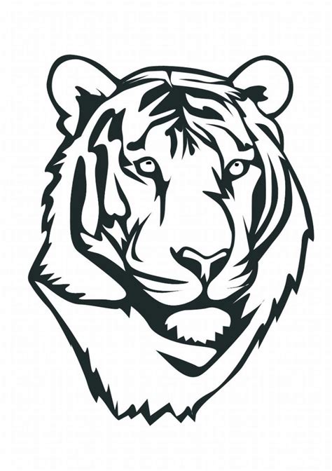 Tiger Cub Drawing | Free download on ClipArtMag